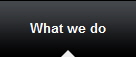 What we do