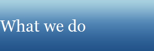 What we do